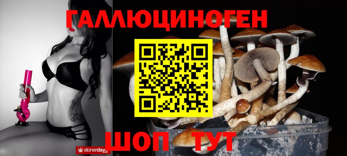 Галлюциногенные грибы Cubensis  сколько стоит  Вход с VPN  Кольчугино  Галлюциногенные грибы мухоморы 